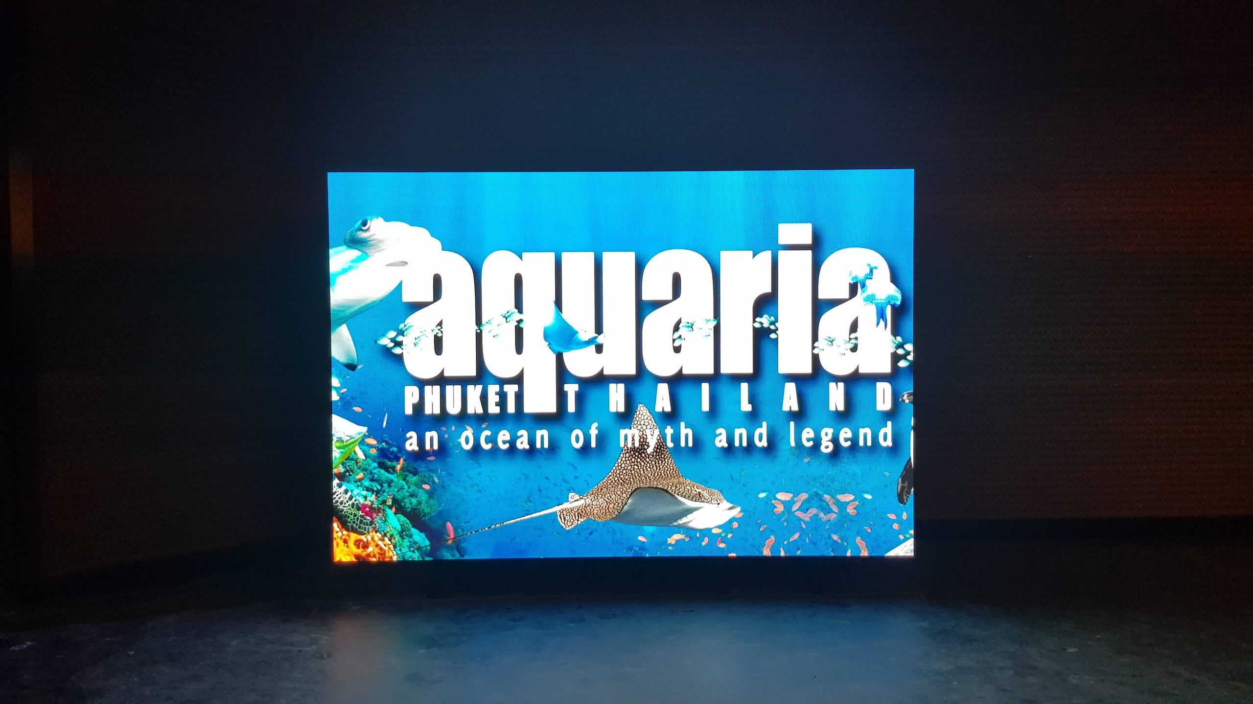 Aquaria P2.5 LED, Central Phuket Floresta Phuket 2